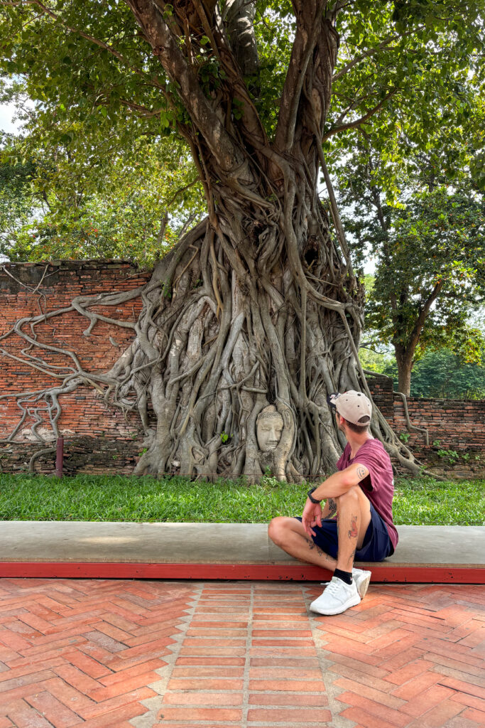 La testa del Buddha - Wat Mahatat