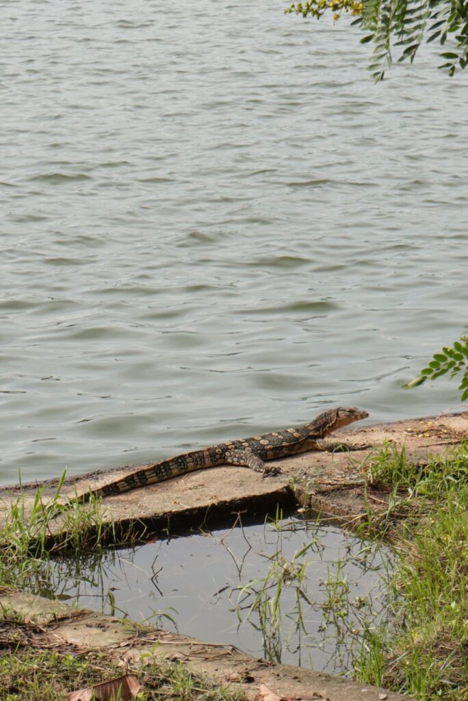 cosa vedere a Nakhon Sawan - Paradise Park